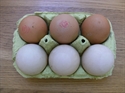 Picture of 3 Chicken eggs & 3 Duck eggs