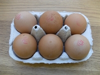 Picture of 6 Free Range Eggs