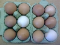 Picture of 12 Organic Eggs (Mixed Size)