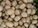 Picture of Salad Potatoes (500g)