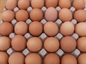 Picture of Tray of free-range eggs (30 eggs)