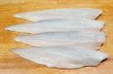 Picture of Catch of the Week, Large (approx 500g - £11/kg)