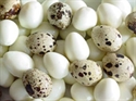 Picture of 12 Quail Eggs