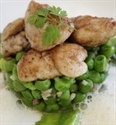 Picture for category Lamb Sweetbreads with Peas