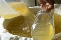 Picture for category Elderflower Fizz