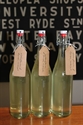 Picture for category Elderflower & Lemon Cordial