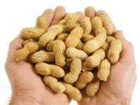 Picture of Monkey Nuts (200g)