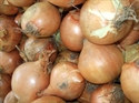 Picture of Onion x1 (150g)