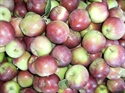Picture of Single Apple (150g)