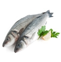 Picture for category Fresh Fish
