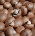 Picture for category Mushrooms