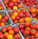 Picture for category Tomatoes