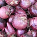 Picture for category Onions & Garlic