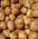 Picture for category Bulk Discount