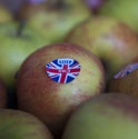 Picture for category Apples & Pears