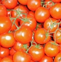 Picture for category Tomatoes