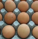 Picture for category Eggs