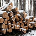 Picture for category Logs