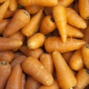 Picture of Chantenay Carrots, loose (500g)