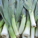 Picture of Leeks (600g)