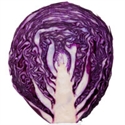 Picture of Half Red Cabbage