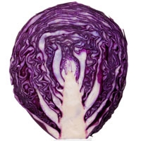 Picture of Half Red Cabbage