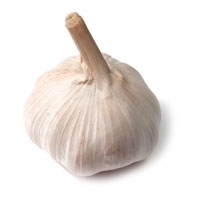 Picture of Solent Wight Garlic Bulb