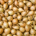 Picture of Shallots (300g)