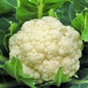 Picture of Cauliflower