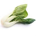 Picture of Pak Choi, Organic