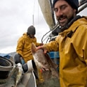 Picture for category Fish