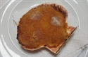 Picture for category Coquilles St-Jacques