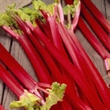 Picture for category Rhubarb