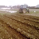 Picture for category 29th Feb - Bedding Seed & Badly Needed Rain