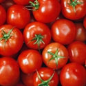 Picture of Classic Tomatoes (300g)
