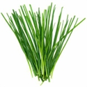 Picture of Garlic Chives, Organic (50g)