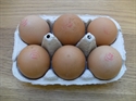 Picture of 6 Small Organic Free Range Eggs