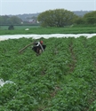 Picture for category Matthew's Blog 10th May - When It Rains!