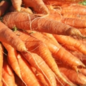 Picture of Organic Washed Carrots (500g)