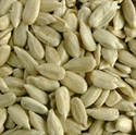 Picture for category Healthy Snacks