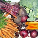 Picture for category Organics