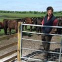 Picture for category Beatbush Farm