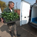 Picture for category  Wild Fields Farm