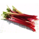 Picture of Essex Rhubarb (1kg)