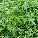 Picture of Wild Rocket, Organic (80g)