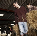 Picture for category Bocaddon Veal