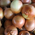Picture of Bio-Dynamic Yellow Onions (500g)