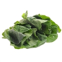 Picture of Bio-dynamic Tender Greens (approx. 300g)