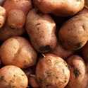 Picture of Organic Desiree Potatoes 1kg